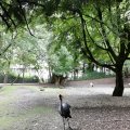 IMG_20210801_104721