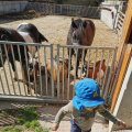IMG_20210902_145835