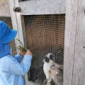 IMG_20210904_090523