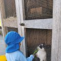 IMG_20210904_090528