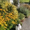 IMG_20210904_090831