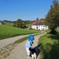 IMG_20210904_091227