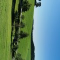 IMG_20210904_091602