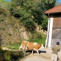 IMG_20210904_165255