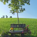 IMG_20210905_084049