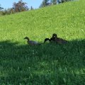 IMG_20210905_164704