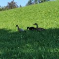 IMG_20210905_164705
