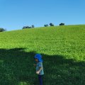 IMG_20210905_164745