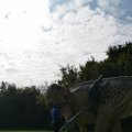 IMG_20210912_104110