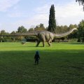 IMG_20210912_104448