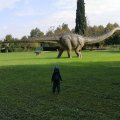 IMG_20210912_104452