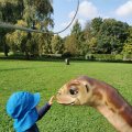 IMG_20210912_104715