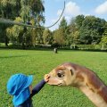 IMG_20210912_104715_2