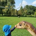IMG_20210912_104716