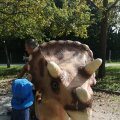 IMG_20210912_110354