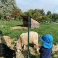 IMG_20210912_110719