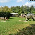 IMG_20210912_111524