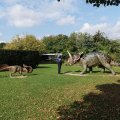 IMG_20210912_111559