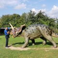 IMG_20210912_111609