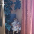 IMG_20231026_163226