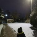 IMG_20240108_070619